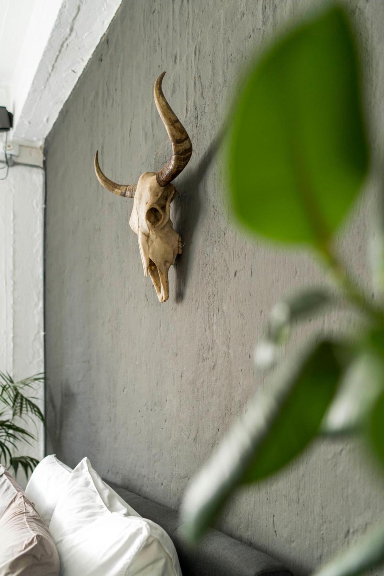 Urban Fox Penthouse By Curiocity Johannesburg Dış mekan fotoğraf